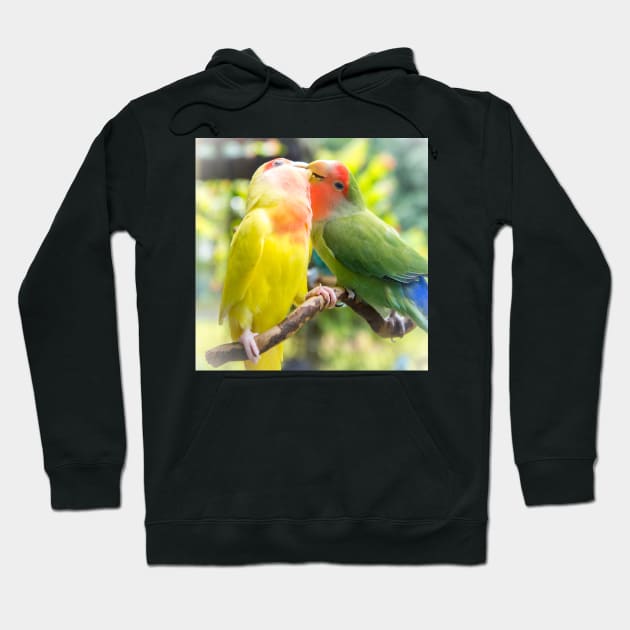 Unique animal photography of A pair of loving rosy-faced lovebird Hoodie by AvonPerception